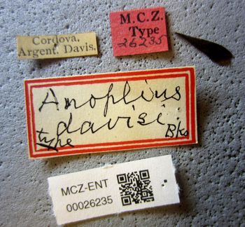 Media type: image;   Entomology 26235 Aspect: labels